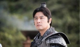 电视剧主角,主角的传奇人生