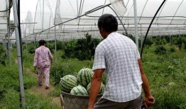 永年产业城吃瓜视频爆料,背后惊人真相曝光