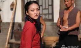 电视剧红高粱剧情简介,烽火岁月里的爱情与抗争