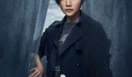 对手 电视剧,对手电视剧中的权谋较量