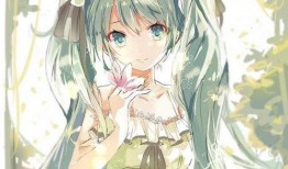 动漫照片,捕捉光影中的青春记忆