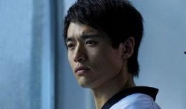 电视剧主角,主角的传奇人生